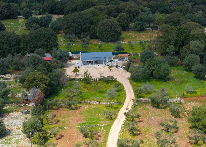 Julia\'S Home